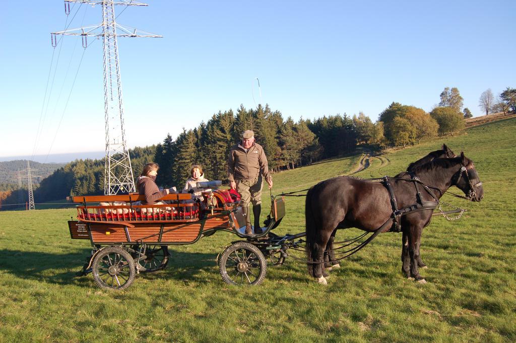 Ferienwohnungen Westfalenhof Willingen  Exterior foto