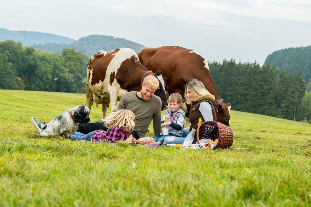 Ferienwohnungen Westfalenhof Willingen  Exterior foto